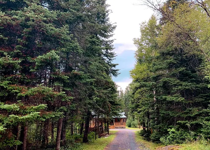 Maine Attraction